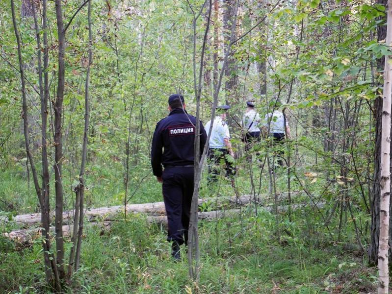 В Каслинском районе полицейские задержали подозреваемого в незаконном отстреле лосей